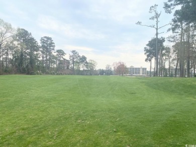 Picture yourself living on the 4th fairway on Waterway side of on Arrowhead Country Club in South Carolina - for sale on GolfHomes.com, golf home, golf lot