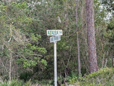Come build your forever home on this one-half acre lot that on Indian Lake Estates Golf and Country Club in Florida - for sale on GolfHomes.com, golf home, golf lot