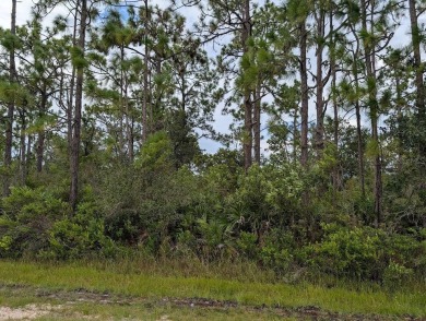 Come build your forever home on this one-half acre lot that on Indian Lake Estates Golf and Country Club in Florida - for sale on GolfHomes.com, golf home, golf lot