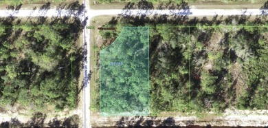 Come build your forever home on this one-half acre lot that on Indian Lake Estates Golf and Country Club in Florida - for sale on GolfHomes.com, golf home, golf lot