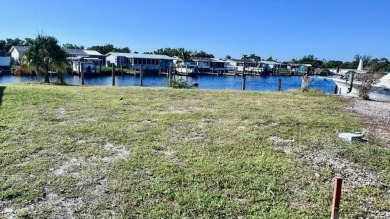 Have you ever Dreamed of Living on an ISLAND? This is an on Riverbend Golf and Country Club in Florida - for sale on GolfHomes.com, golf home, golf lot