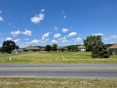 Whether you're looking for a beautiful view of the mountains or on Tellico Village -The Links At Kahite Golf Course in Tennessee - for sale on GolfHomes.com, golf home, golf lot