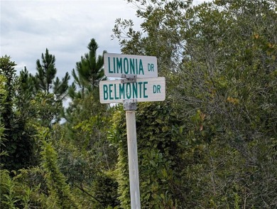 Come build your forever home on this one-half acr lot that on Indian Lake Estates Golf and Country Club in Florida - for sale on GolfHomes.com, golf home, golf lot