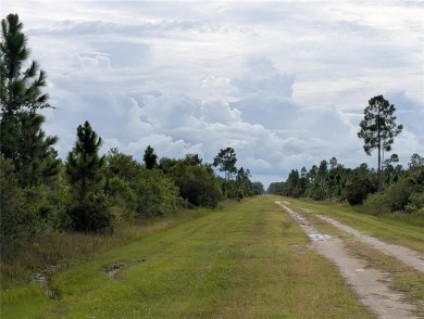 Come build your forever home on this one-half acr lot that on Indian Lake Estates Golf and Country Club in Florida - for sale on GolfHomes.com, golf home, golf lot