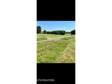 Whether you're looking for a beautiful view of the mountains or on Tellico Village -The Links At Kahite Golf Course in Tennessee - for sale on GolfHomes.com, golf home, golf lot