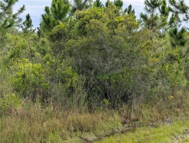 Come build your forever home on this one-half acr lot that on Indian Lake Estates Golf and Country Club in Florida - for sale on GolfHomes.com, golf home, golf lot