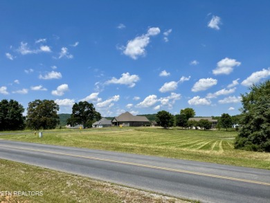 Whether you're looking for a beautiful view of the mountains or on Tellico Village -The Links At Kahite Golf Course in Tennessee - for sale on GolfHomes.com, golf home, golf lot