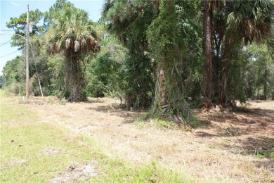 Beautiful 1.96  Acres of land, plenty of space to build your on Seven Rivers Golf and Country Club in Florida - for sale on GolfHomes.com, golf home, golf lot