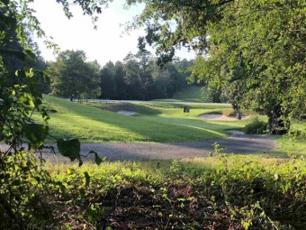 This 1+ acre, DOUBLE GOLF COURSE LOT has 256' of course frontage on Royal Lakes Golf and Country Club in Georgia - for sale on GolfHomes.com, golf home, golf lot