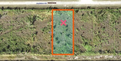 Come build your forever home on this one-half acre lot with an on Indian Lake Estates Golf and Country Club in Florida - for sale on GolfHomes.com, golf home, golf lot