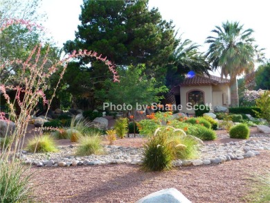 Desirable Single-Story Malibu Floor Plan! Golf and Mountain on Painted Desert Golf Club in Nevada - for sale on GolfHomes.com, golf home, golf lot