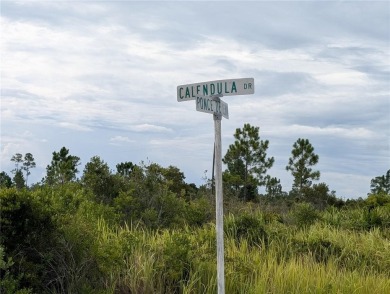 Come build your forever home on this one-half acre lot with an on Indian Lake Estates Golf and Country Club in Florida - for sale on GolfHomes.com, golf home, golf lot