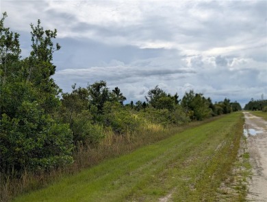 Come build your forever home on this one-half acre lot with an on Indian Lake Estates Golf and Country Club in Florida - for sale on GolfHomes.com, golf home, golf lot