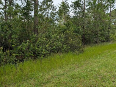 Come build your forever home on this one-half acre lot with an on Indian Lake Estates Golf and Country Club in Florida - for sale on GolfHomes.com, golf home, golf lot