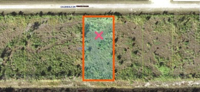 Come build your forever home on this one-half acre lot with an on Indian Lake Estates Golf and Country Club in Florida - for sale on GolfHomes.com, golf home, golf lot
