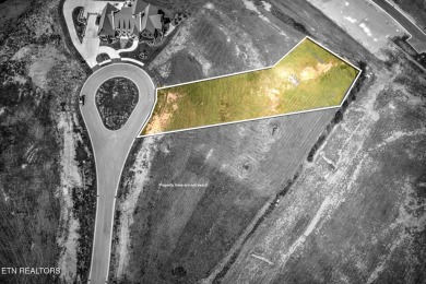 Experience luxurious living in one of the most prestigious golf on Tennessee National Golf Club in Tennessee - for sale on GolfHomes.com, golf home, golf lot