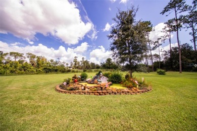 You will not find another property like this in Palm Coast! on The Grand Club Cypress Course in Florida - for sale on GolfHomes.com, golf home, golf lot