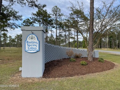 Adorable MOVE-IN READY home in Boiling Spring Lakes. Enter from on The Lakes Country Club in North Carolina - for sale on GolfHomes.com, golf home, golf lot