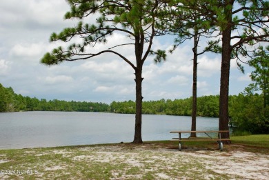 Adorable MOVE-IN READY home in Boiling Spring Lakes. Enter from on The Lakes Country Club in North Carolina - for sale on GolfHomes.com, golf home, golf lot