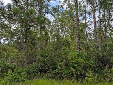 Come build your forever home on this one-half acre corner lot on Indian Lake Estates Golf and Country Club in Florida - for sale on GolfHomes.com, golf home, golf lot