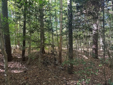 Home Escape!! Seeking an excellent location to build your new on Tanglewood Shores Golf Club in Virginia - for sale on GolfHomes.com, golf home, golf lot