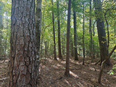 Home Escape!! Seeking an excellent location to build your new on Tanglewood Shores Golf Club in Virginia - for sale on GolfHomes.com, golf home, golf lot