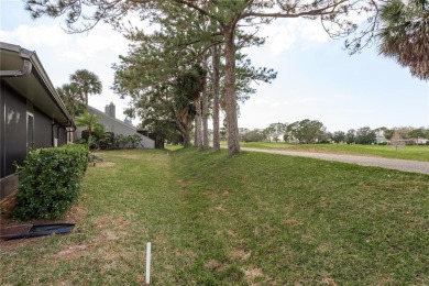 The grass is always green when you live on a golf course - on Countryside Country Club in Florida - for sale on GolfHomes.com, golf home, golf lot