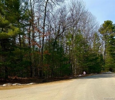 Lovely 1.59 acre lot.  Build your dream home in this wonderful on White Deer Country Club in Michigan - for sale on GolfHomes.com, golf home, golf lot