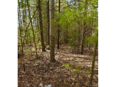 Lovely 1.59 acre lot.  Build your dream home in this wonderful on White Deer Country Club in Michigan - for sale on GolfHomes.com, golf home, golf lot