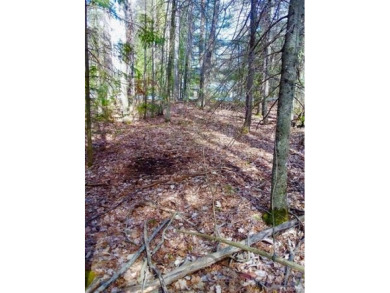 Lovely 1.59 acre lot.  Build your dream home in this wonderful on White Deer Country Club in Michigan - for sale on GolfHomes.com, golf home, golf lot