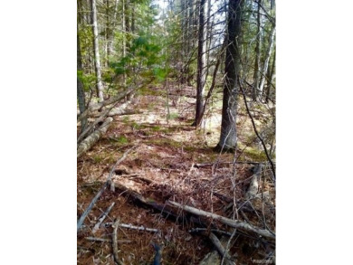 Lovely 1.59 acre lot.  Build your dream home in this wonderful on White Deer Country Club in Michigan - for sale on GolfHomes.com, golf home, golf lot