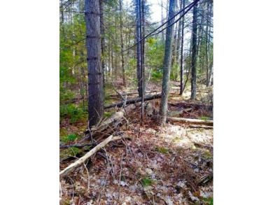 Lovely 1.59 acre lot.  Build your dream home in this wonderful on White Deer Country Club in Michigan - for sale on GolfHomes.com, golf home, golf lot