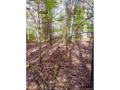 Lovely 1.59 acre lot.  Build your dream home in this wonderful on White Deer Country Club in Michigan - for sale on GolfHomes.com, golf home, golf lot