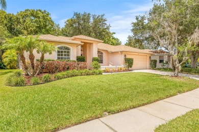 Welcome to your dream home in the gated community of East Lake on East Lake Woodlands Country Club in Florida - for sale on GolfHomes.com, golf home, golf lot