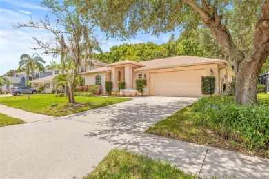 Welcome to your dream home in the gated community of East Lake on East Lake Woodlands Country Club in Florida - for sale on GolfHomes.com, golf home, golf lot