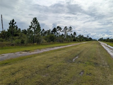 Come build your forever home on this one-half acre lot that on Indian Lake Estates Golf and Country Club in Florida - for sale on GolfHomes.com, golf home, golf lot