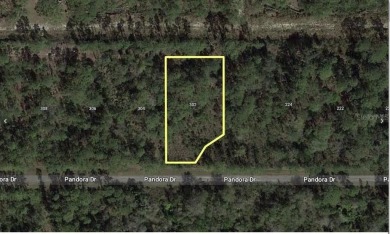 Come build your forever home on this one-half acre lot that on Indian Lake Estates Golf and Country Club in Florida - for sale on GolfHomes.com, golf home, golf lot
