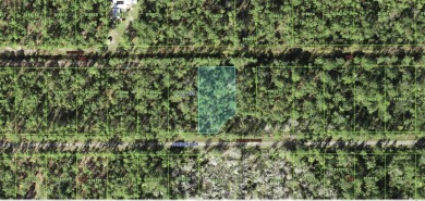 Come build your forever home on this one-half acre lot that on Indian Lake Estates Golf and Country Club in Florida - for sale on GolfHomes.com, golf home, golf lot