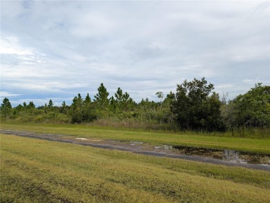 Come build your forever home on this one-half acre lot that on Indian Lake Estates Golf and Country Club in Florida - for sale on GolfHomes.com, golf home, golf lot