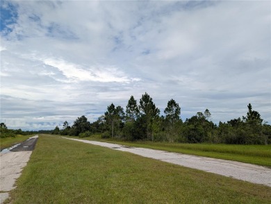 Come build your forever home on this one-half acre lot that on Indian Lake Estates Golf and Country Club in Florida - for sale on GolfHomes.com, golf home, golf lot