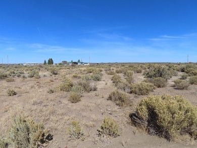 Come to the high desert and build your get-away or permanent on Christmas Valley Golf Course in Oregon - for sale on GolfHomes.com, golf home, golf lot