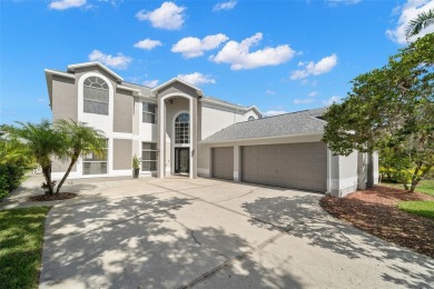 Discover the perfect blend of modern comfort and timeless on East Lake Woodlands Country Club in Florida - for sale on GolfHomes.com, golf home, golf lot