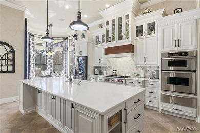 Show-stopping residence located in Terra Vista within the highly on Skyview At Terra Vista Golf and Country Club in Florida - for sale on GolfHomes.com, golf home, golf lot