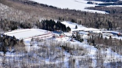 For Sale: Premier 750-Acre Outdoor Center

Discover the on Presque Isle Country Club in Maine - for sale on GolfHomes.com, golf home, golf lot