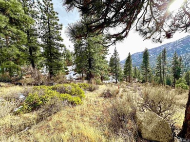Ideal building opportunity in the upscale gated community of on Clear Creek Tahoe in Nevada - for sale on GolfHomes.com, golf home, golf lot