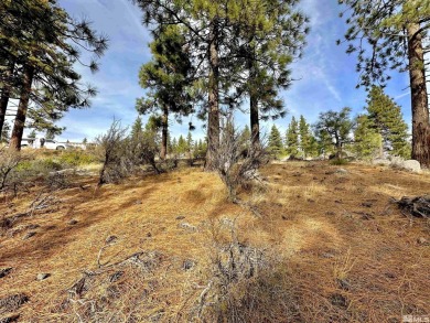 Ideal building opportunity in the upscale gated community of on Clear Creek Tahoe in Nevada - for sale on GolfHomes.com, golf home, golf lot