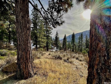 Ideal building opportunity in the upscale gated community of on Clear Creek Tahoe in Nevada - for sale on GolfHomes.com, golf home, golf lot
