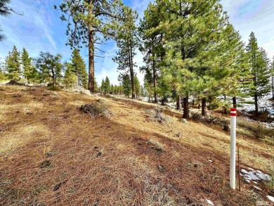Ideal building opportunity in the upscale gated community of on Clear Creek Tahoe in Nevada - for sale on GolfHomes.com, golf home, golf lot