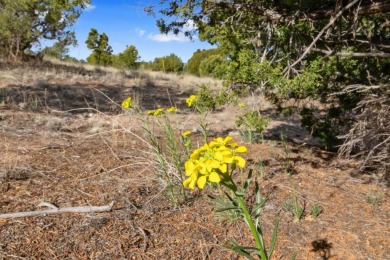 Enjoy the lovely sunsets from this elevated grassy home site, in on The Club At Las Campanas  in New Mexico - for sale on GolfHomes.com, golf home, golf lot