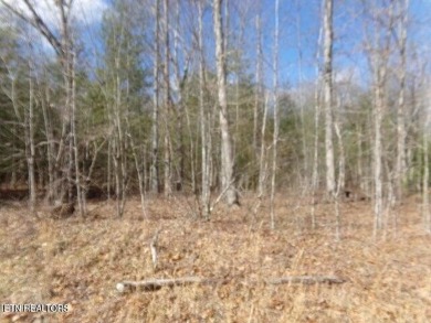 Great level lot in Lake Tansi! Lot is close 

to Lake Tansi on Lake Tansi Village Country Club in Tennessee - for sale on GolfHomes.com, golf home, golf lot